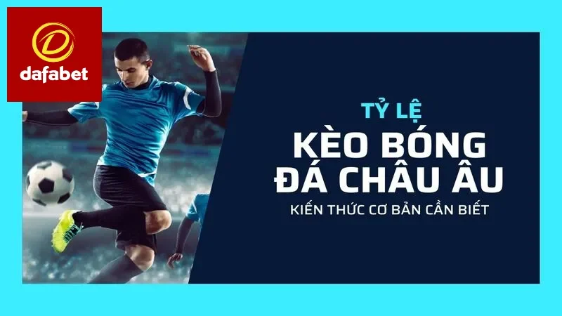 Kiến thức cơ bản về kèo cần biết